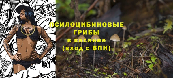 ALPHA PVP Заводоуковск
