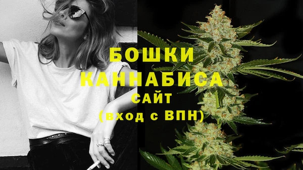 альфа пвп Заволжск